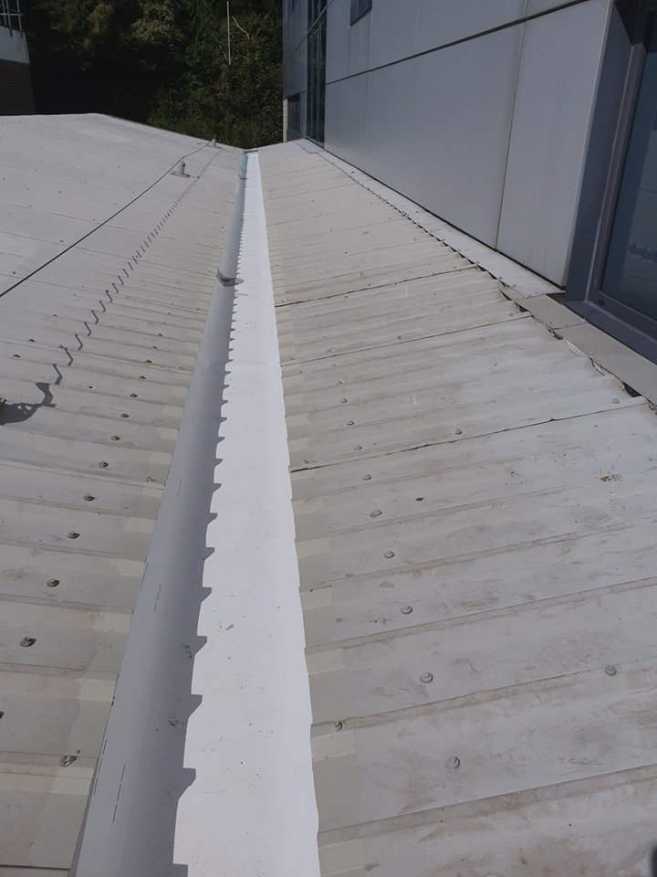 Leaking Gutter Repair at a University in Brighton, West Sussex