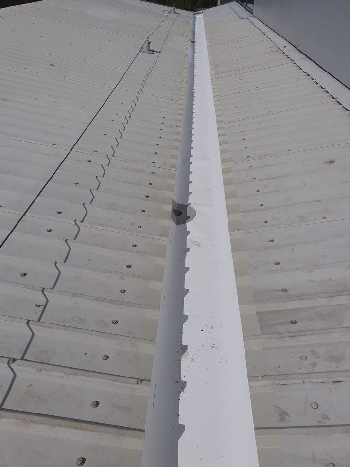Leaking Gutter Replacement at a University in Brighton, West Sussex