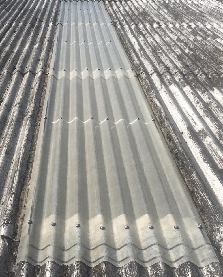 Roof Repair Work and Translucent Rooflight Replacement at a Factory in Sheerness Kent