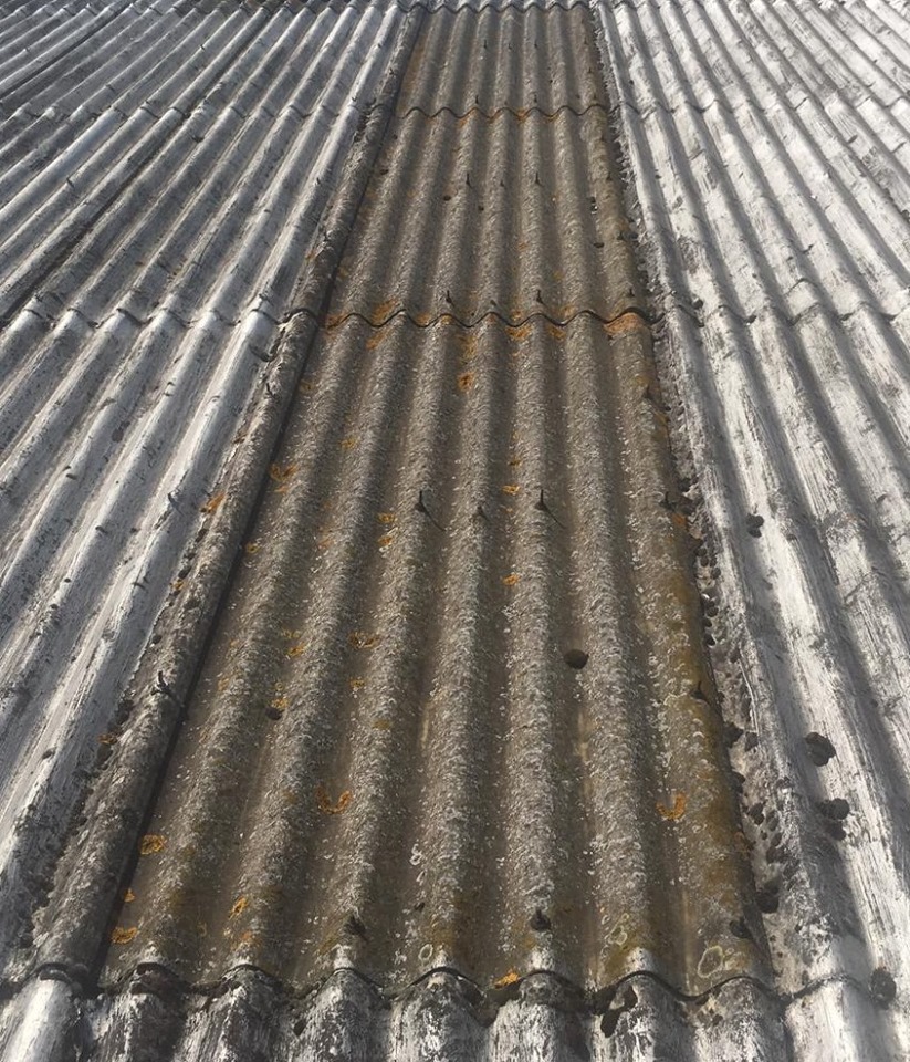 Rooflight Replacement and Repair Work at a Factory in Sheerness Kent