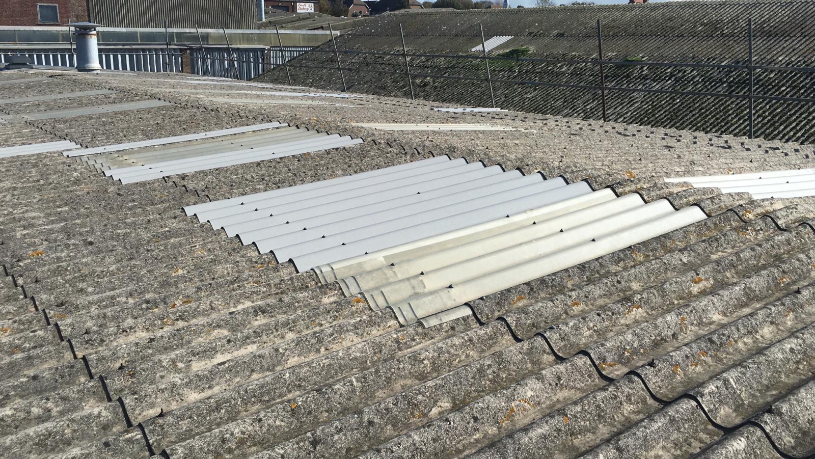 Leaking Roof in Workshop roof in Seaford East Sussex