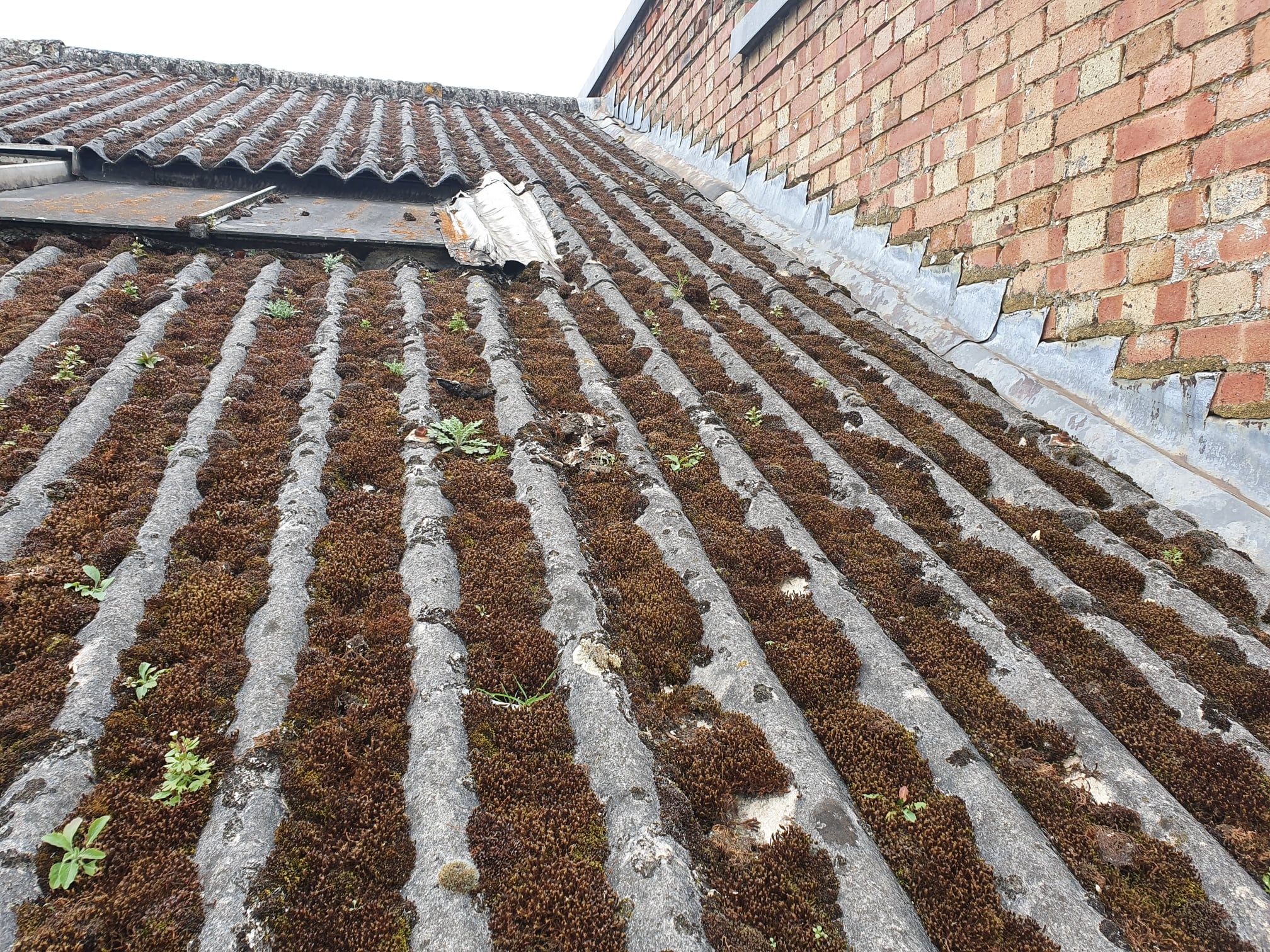 Over roofing to a office roof in Hersham Surrey