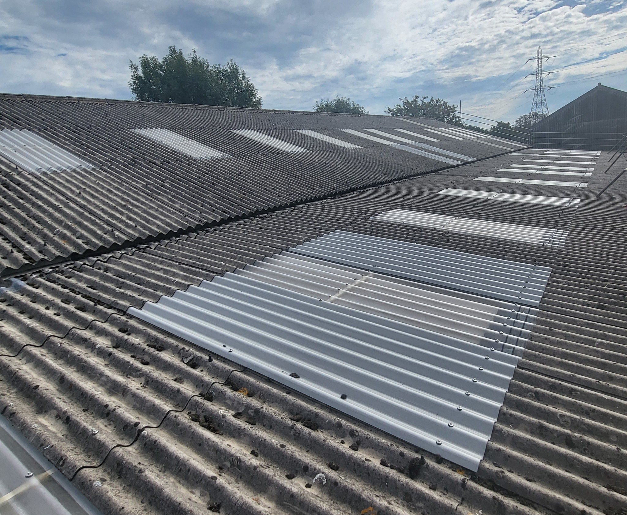 rooflight replacement and repair work to a warehouse and office roof in Morden, Surrey