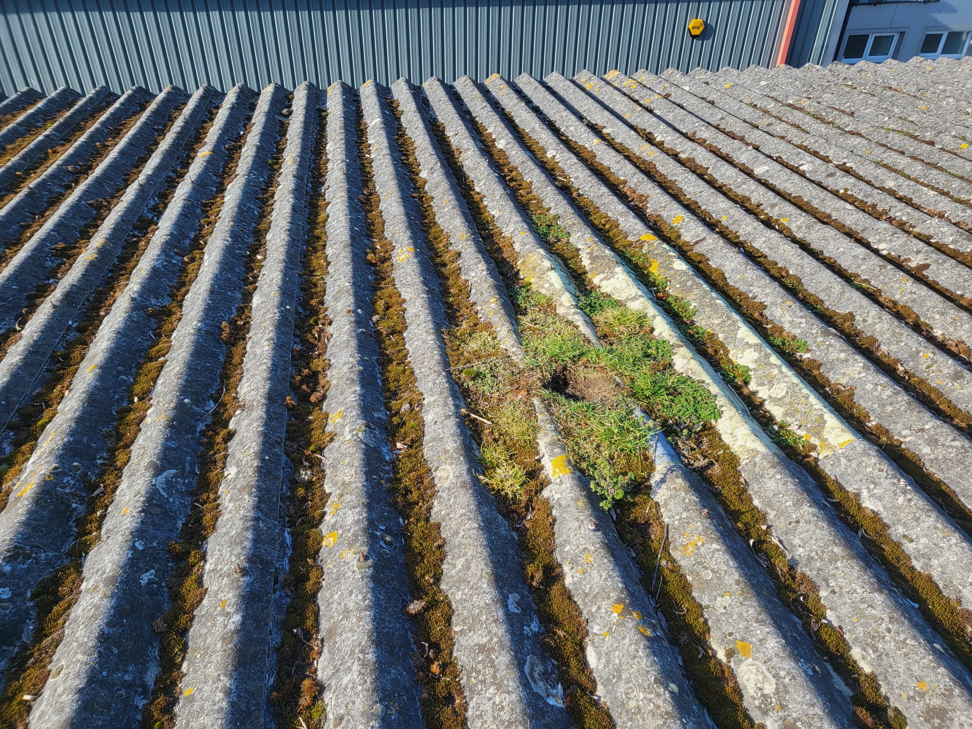 Total cleaning of a Warehouse roof in Bognor Regis, West Sussex