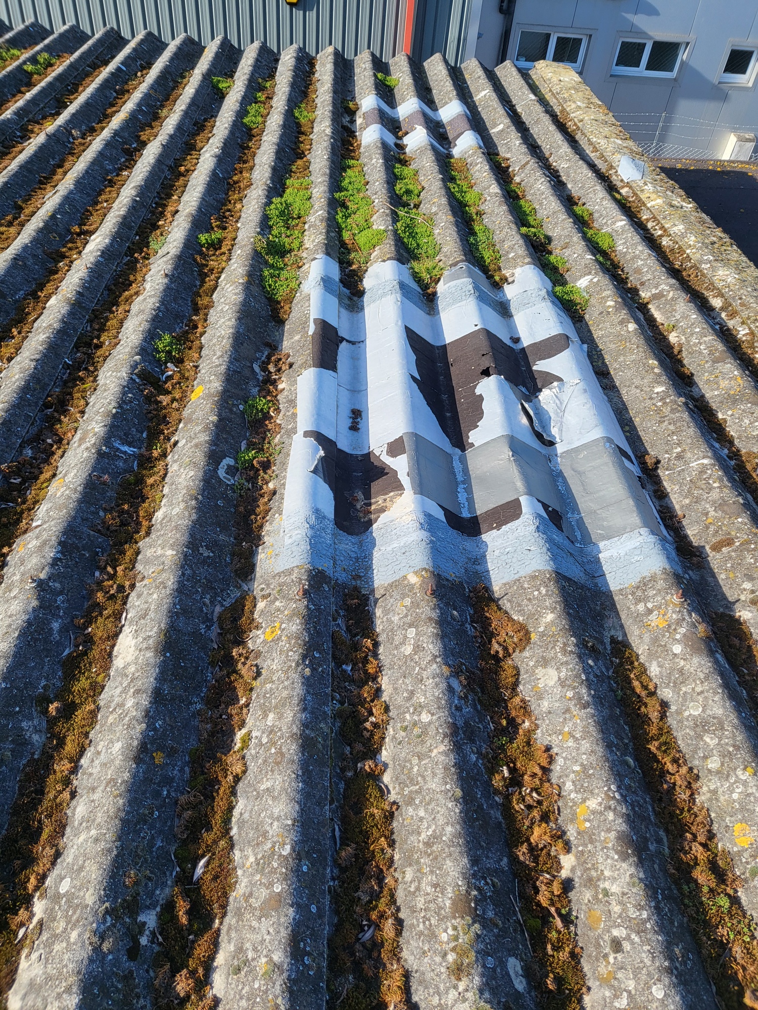Clean down to a Warehouse roof in Bognor Regis, West Sussex