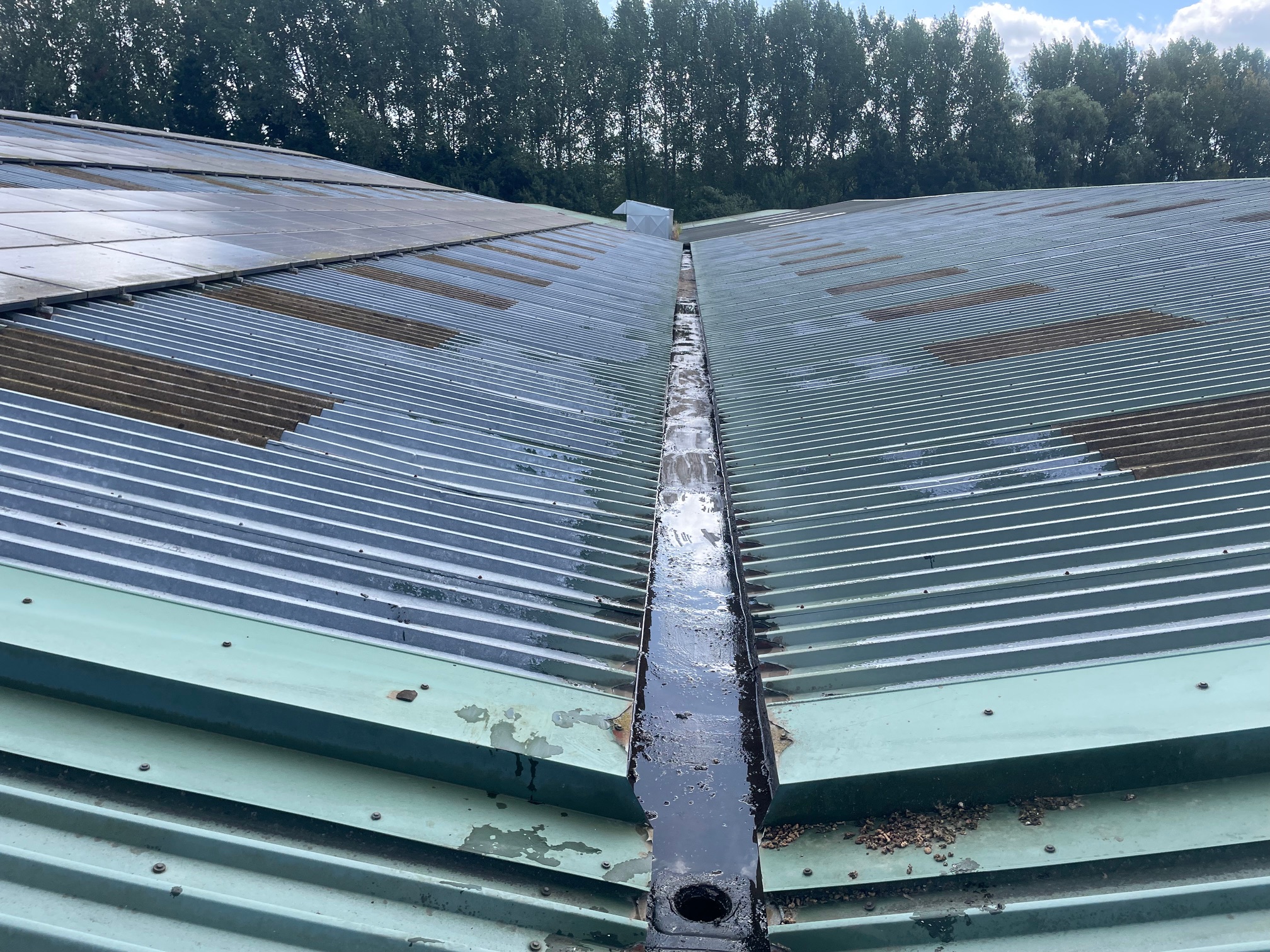 Gutter cleaning to warehouse roofs in Petworth, West Sussex