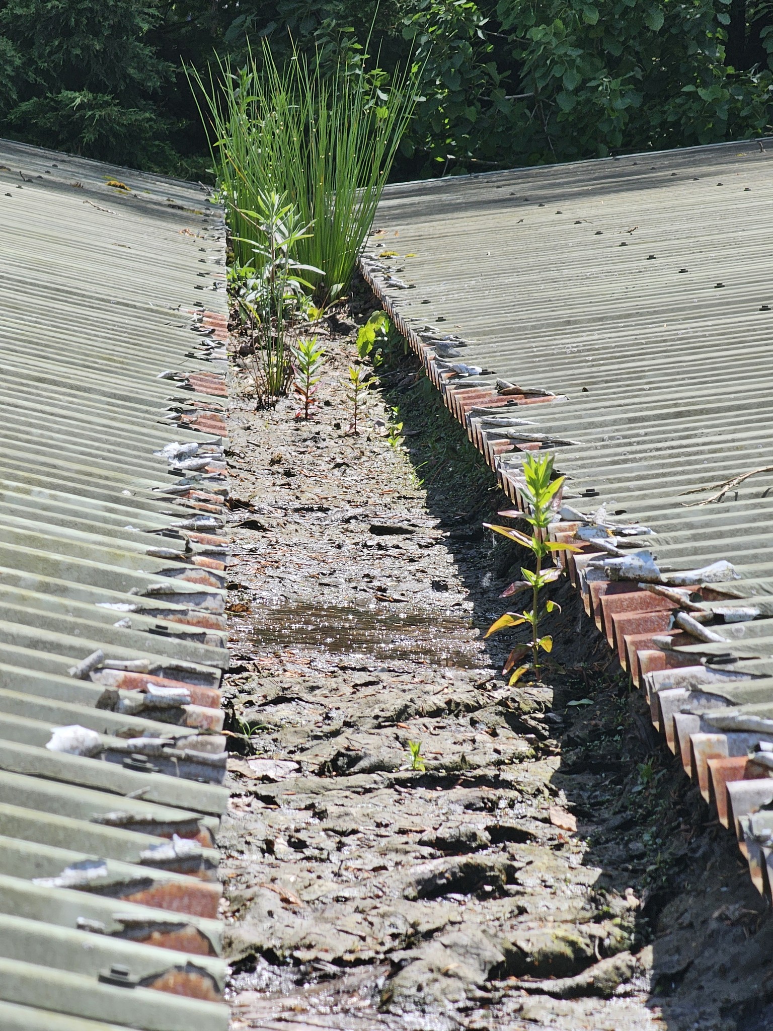 Gutter repairs to warehouse roofs in Petworth, Sussex