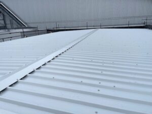 over-roofing to a Plant Room roof in Chichester, West Sussex