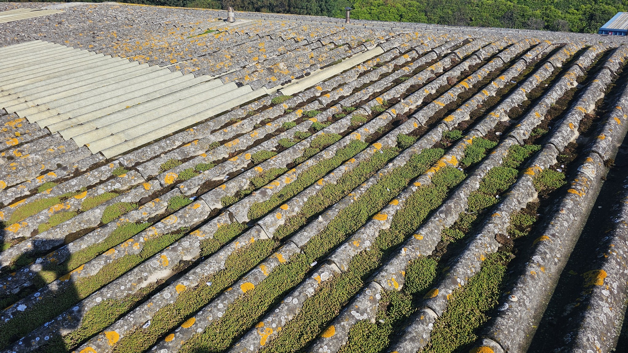 Roof Repairs and moss removal on a Warehouse roof in Southwick