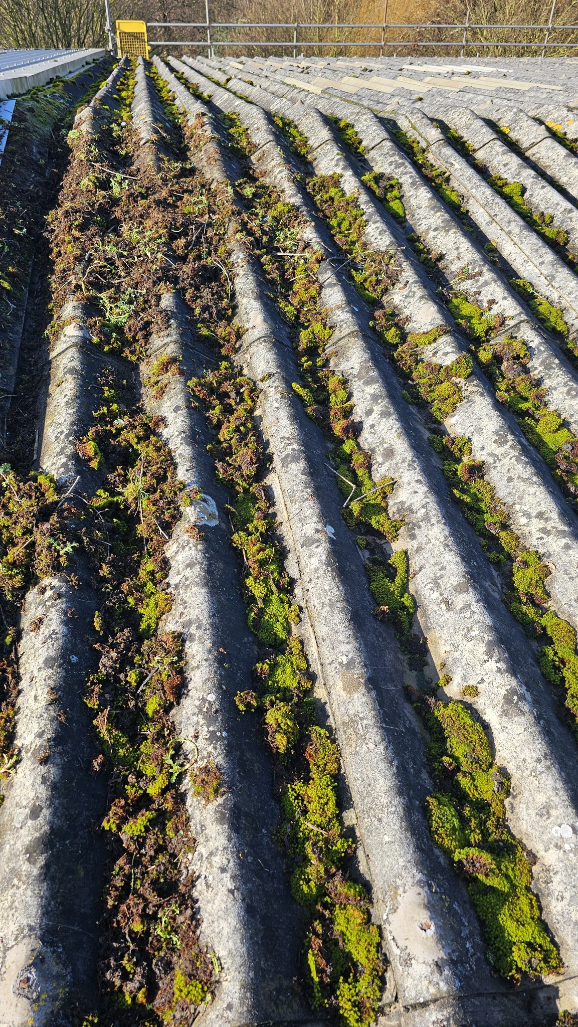 Roof repair work to a Warehouse roof in Larkfield, Aylesford